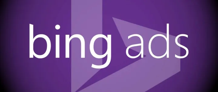 什么是受众定位？如何针对受众定位进行Bing广告优化？