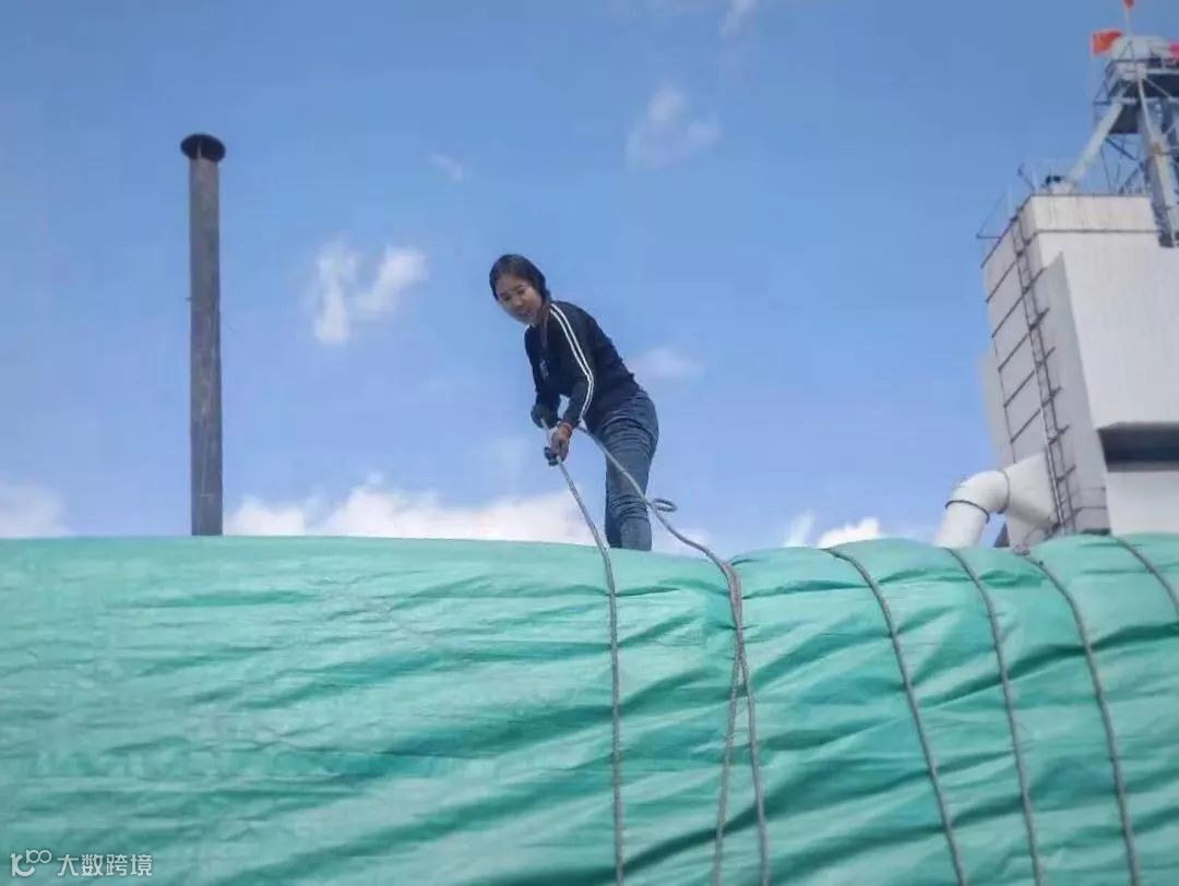 【春节特辑】跟车“卡嫂”：“我想回家种大棚，想得很”