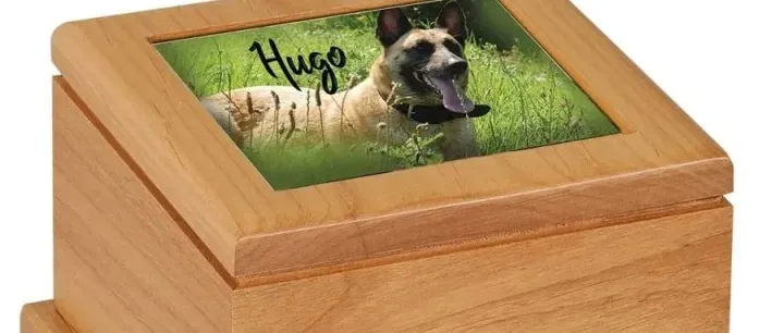 行业解读 | 宠物丧葬，【烧】出一条新赛道