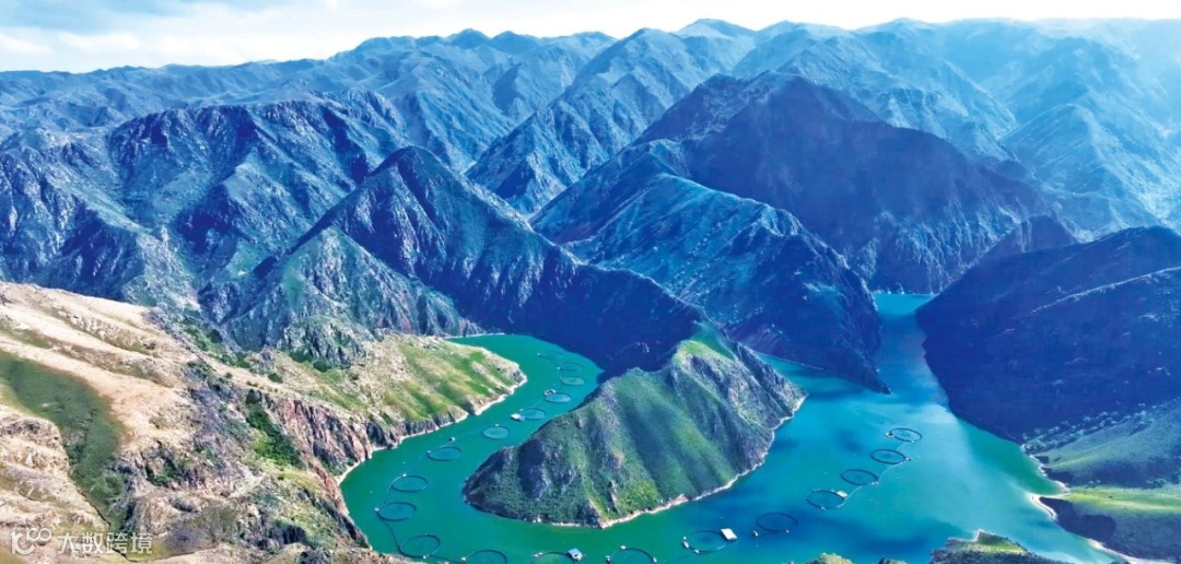 新疆“海鲜”这泼天的富贵，顺丰、中通、<a target=