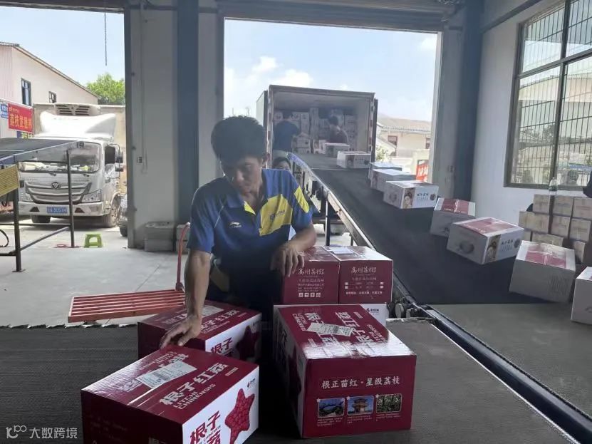 德邦掘金荔枝产业带，五大举措推动“茂荔”产业高质量发展