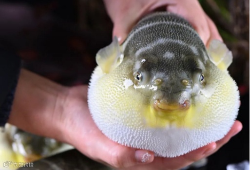 和外卖抢生意，预制菜靠什么科技与狠活？