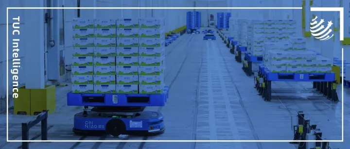 国内半日达、全球五日达，菜鸟如何让商家看到未来？