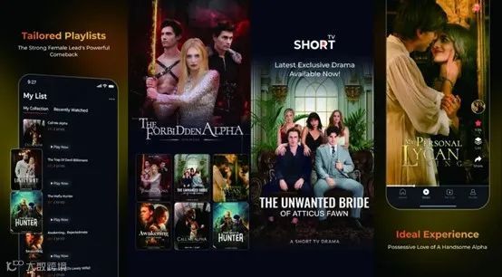 短剧出海洞察|头部短剧领航者吃肉，后进短剧创业者喝汤？