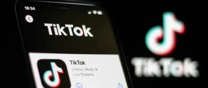 投资风向 | 两年半投资16家企业 字节出海除Tik Tok外还布局了哪些品类？