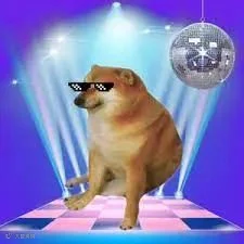 被解雇的第三个月：我们做的“meme版Twitter”拿下百万美元融资