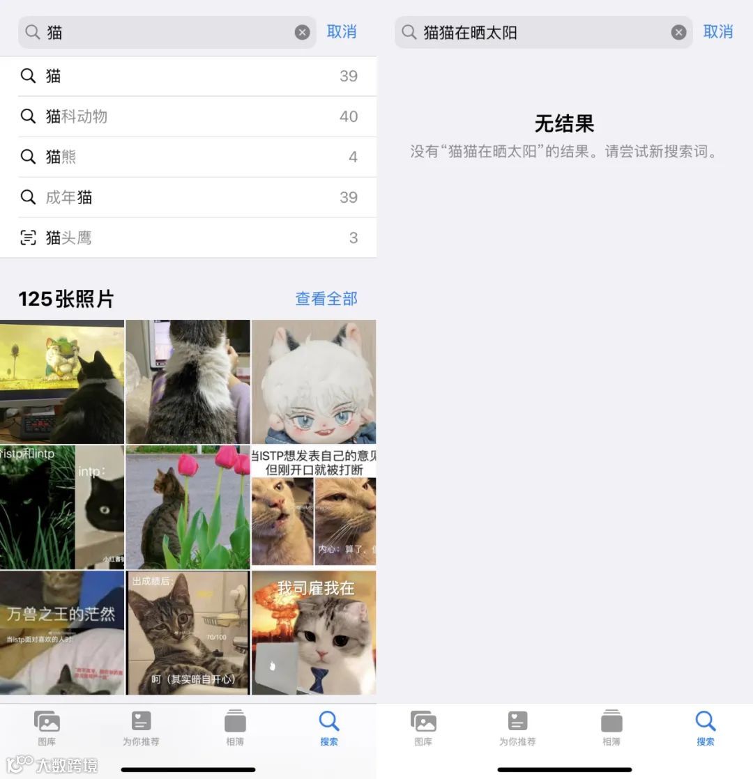 登顶欧州多国Top1 寻隐借Open AI将「文本搜索图片」变成现实