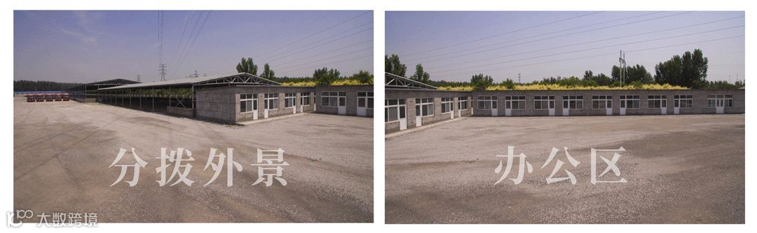 武清庆隆供应链仓库对外招租