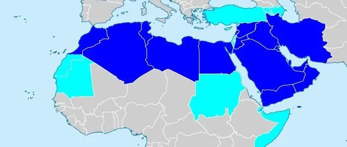 这样投放广告，在中东做电商等于捡钱！