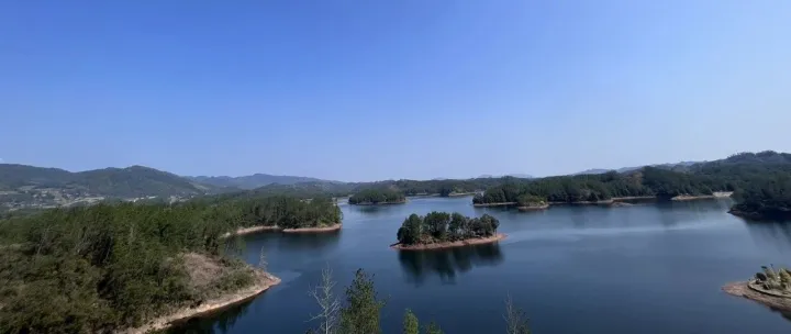 爆料！亚马逊卖家都有一种病。。。