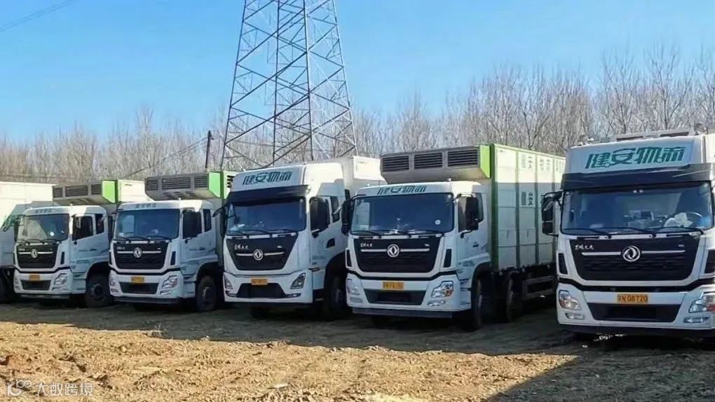 他从“鸡贩子”起家，靠农牧供应链连获五轮投资，正向IPO冲刺