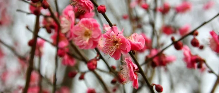 数字化转型需要哪些数据产品？