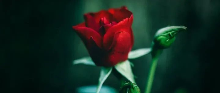 为什么很多人一被HR问空窗期做什么就炸毛？