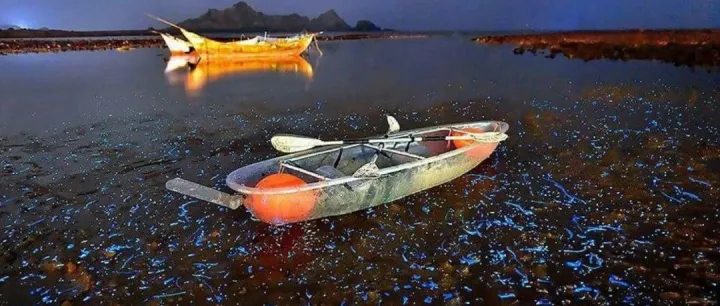 【CRM系列】线索管理