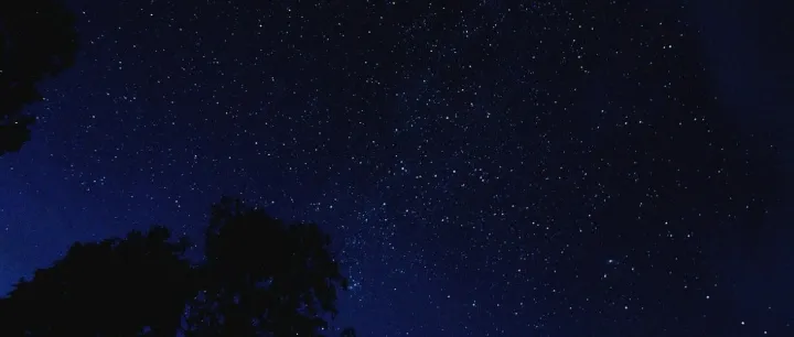 简历中部分内容作假，要不要坦白？