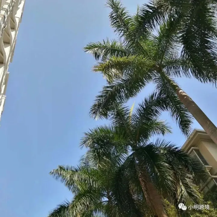 亚马逊新搜索分析控制面板怎么看？