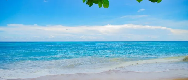 公司为啥薪酬保密？