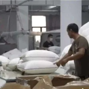 中国厂长，站上电商C位