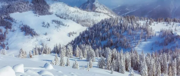 大B端产品与小B端产品的差异？以及对产品经理的不同要求