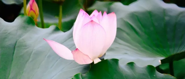 面试题：解释一次你所参与的产品失败的经历，并分享你从中学到了什么。