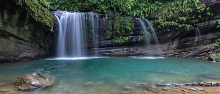 电商平台营销活动设计——任务活动