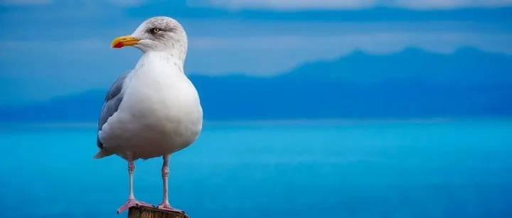 财务系统：资金对账（一）