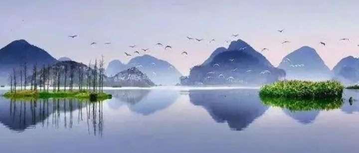 4种B端产品形态赋能业务路径