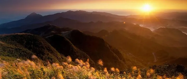 商家运营之商家分层运营策略