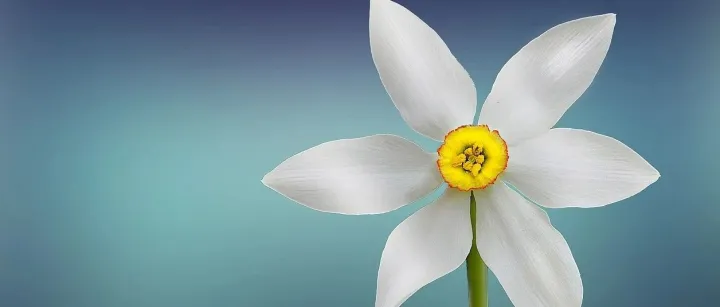 分享一个PRD文档