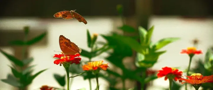 面试题：你如何使用数据和用户反馈来指导产品决策？