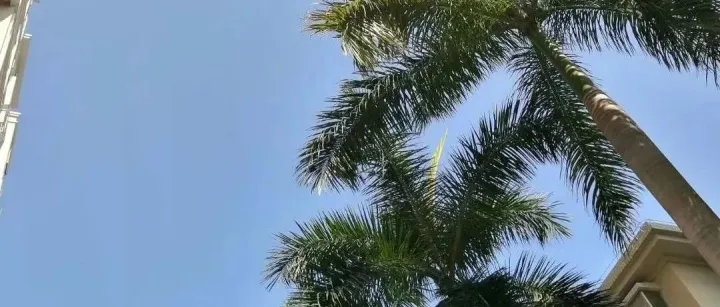 prime day即将来临！如何做好旺季前的准备？