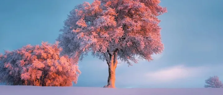 SaaS系统用户权限设计