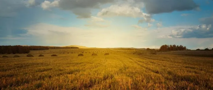 B端产品经理如何进行绩效考核