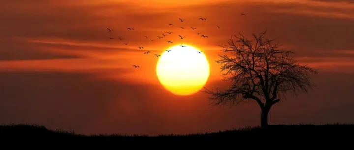 G端产品如何进行需求分析