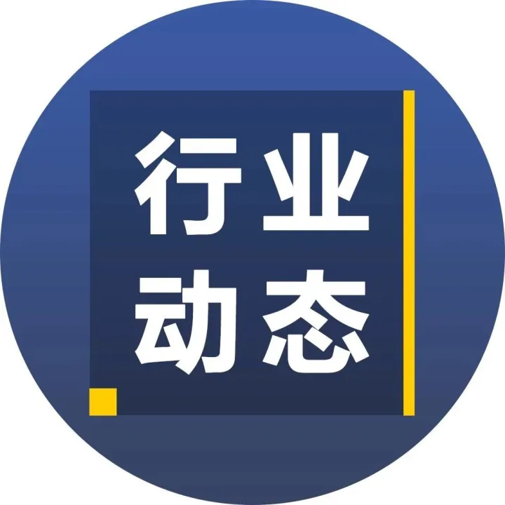 云鸟发布“雷鸟”“梧桐”两大计划，发展自营运力和进军车后市场