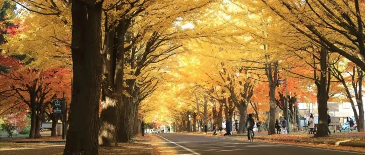 从心理学到产品设计（一）