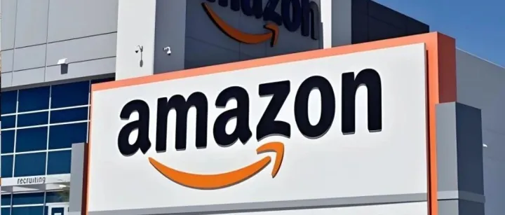 2024年度亚马逊Prime会员日圆满收官，中国品牌卖爆全球