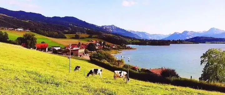 介绍几个风口行业