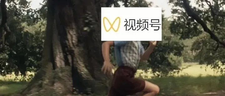 短视频下半场，快手的新对手来了