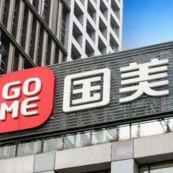 苏宁国美“傲世双雄”时代落幕