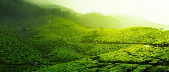 规划电商营销系统全流程，七个模块就搞定