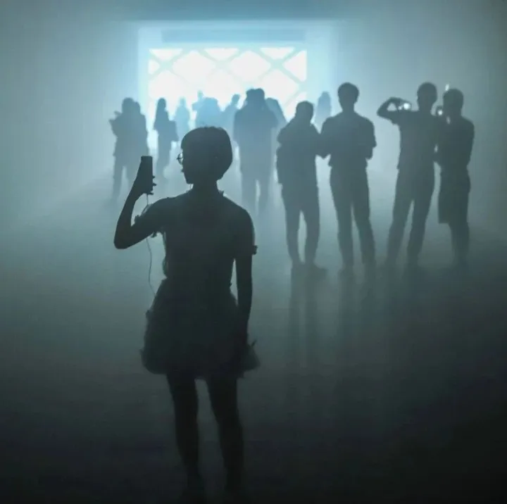 你是怎么被社交电商割韭菜的？