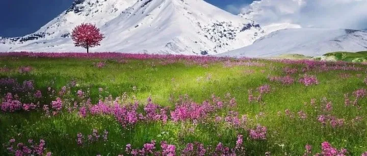 AI产品经理 | 入行AI的必备知识