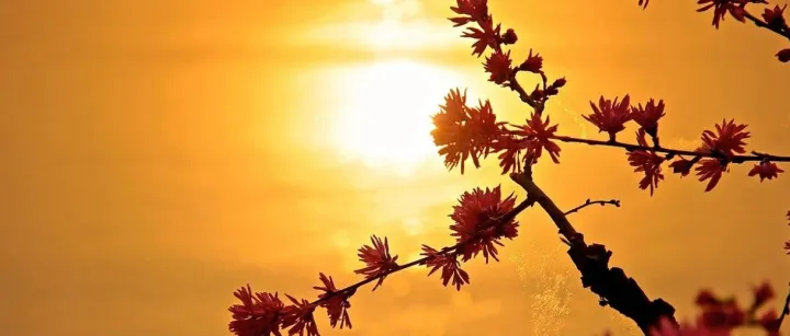 做好B端业务调研，需要准备的一些内容