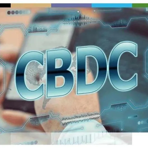 俄罗斯央行计划于 2025 年 7 月推出数字卢布