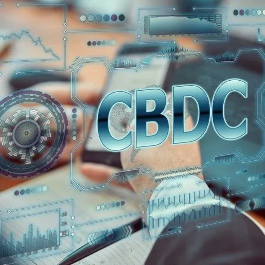 Visa、微软等加入巴西CBDC试点