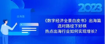 《数字经济全景白皮书》出海篇：选对路径下好棋，热点出海行业如何实现增长？