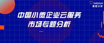 2020中国小<em>微</em>企业<em>云</em>服务市场专题分析