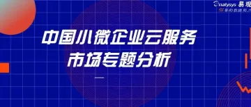 2020中国小<em>微</em>企业<em>云</em>服务市场专题分析