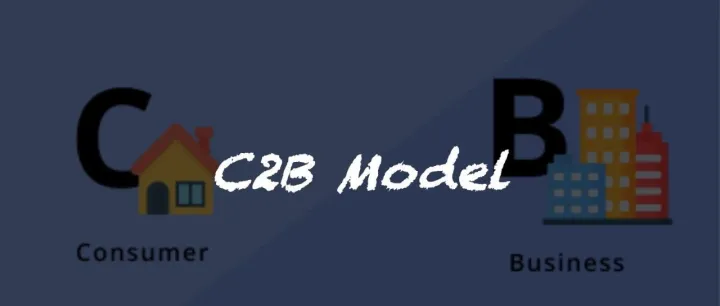当用户要求“个性”与“体验”时 l C2B 应运而生
